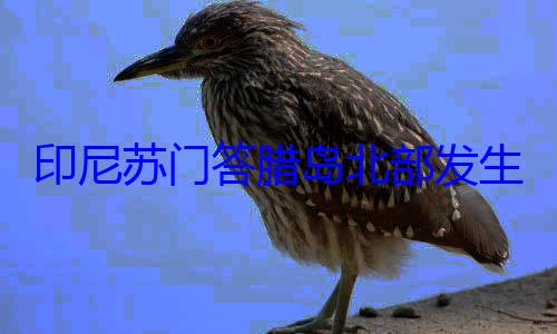 米地震 震源腊岛北部发印尼苏门答生57级深度10千