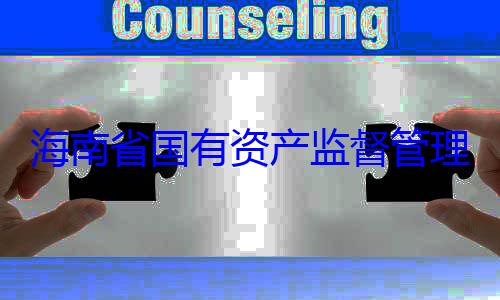 理委员会党委副书记王海南省国有资产监督管有福接受审查调查